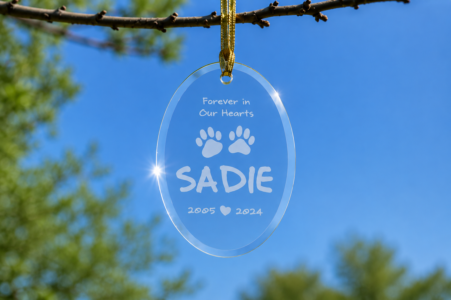 Glass ornament with engraved text 'Forever in Our Hearts SADIE 2005 🐾 2024' hanging from a branch against a blue sky.