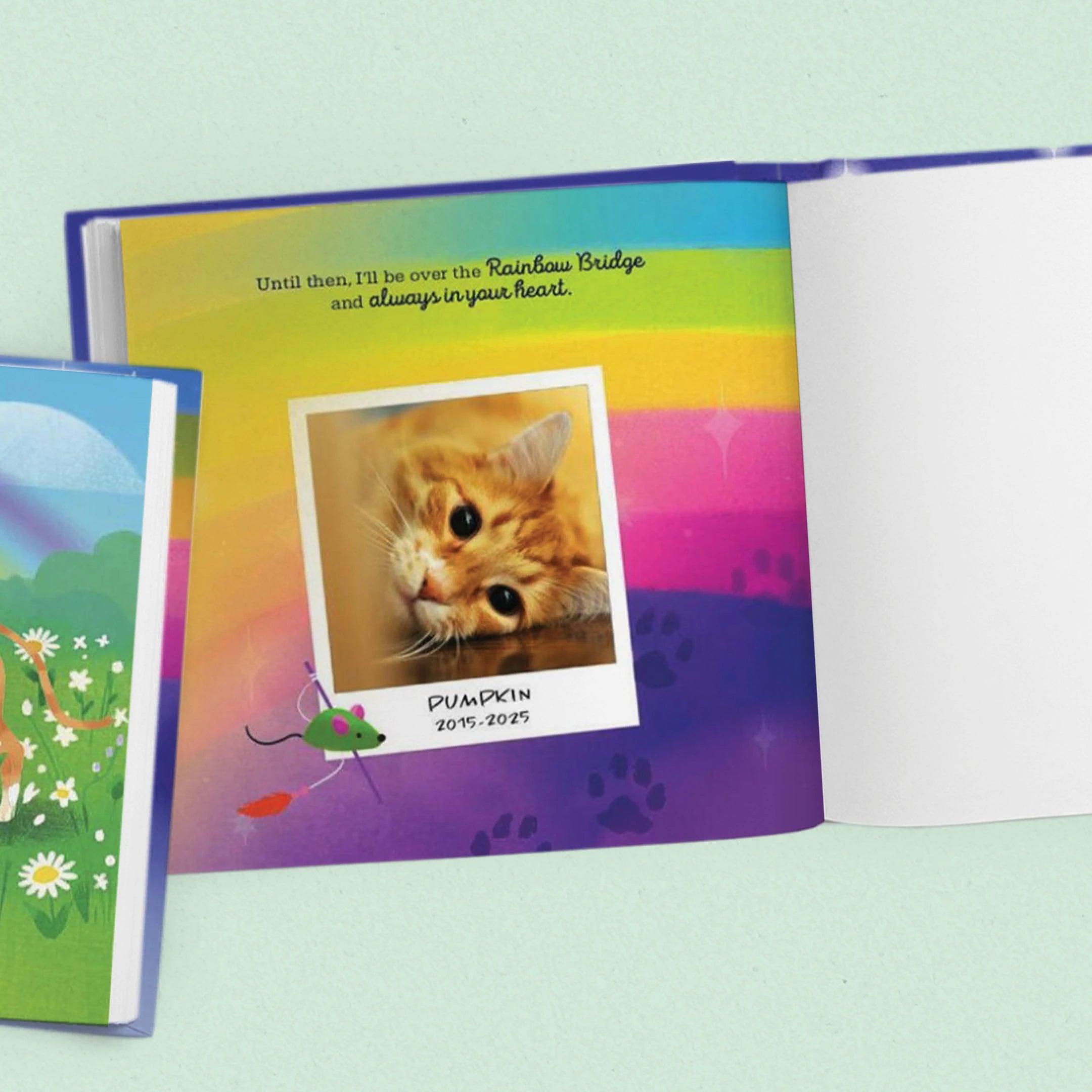 Colorful card with a photo of a cat and text on a light green background
